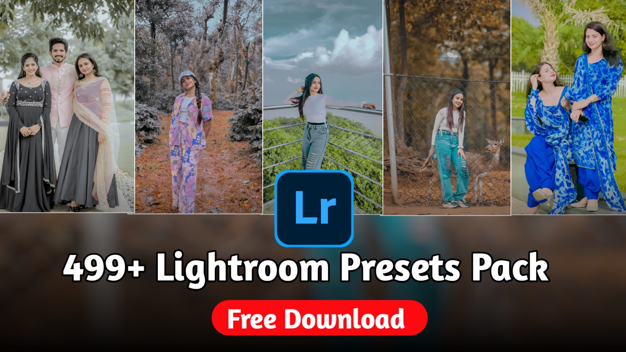 Best 499+ Lightroom Presets Free For