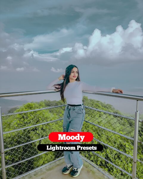 Moody Lightroom Presets Free 