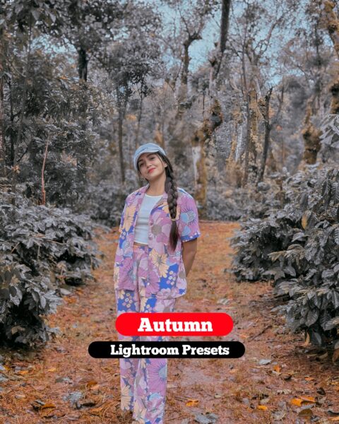 Autumn Lightroom Presets 