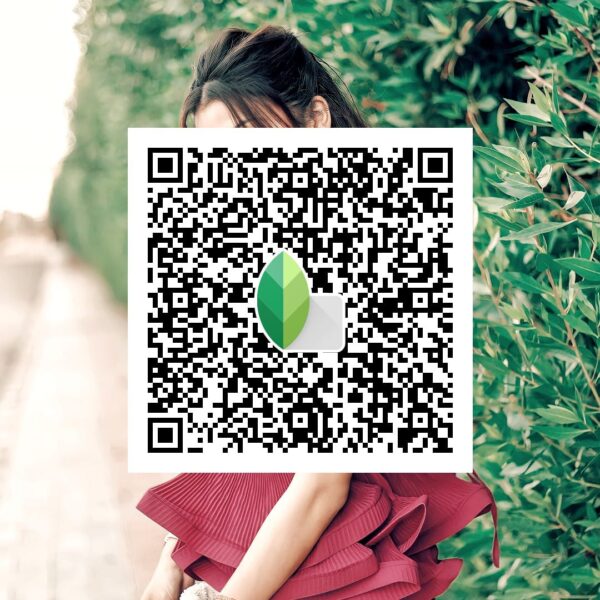 Warm Snapseed QR Code Preset 