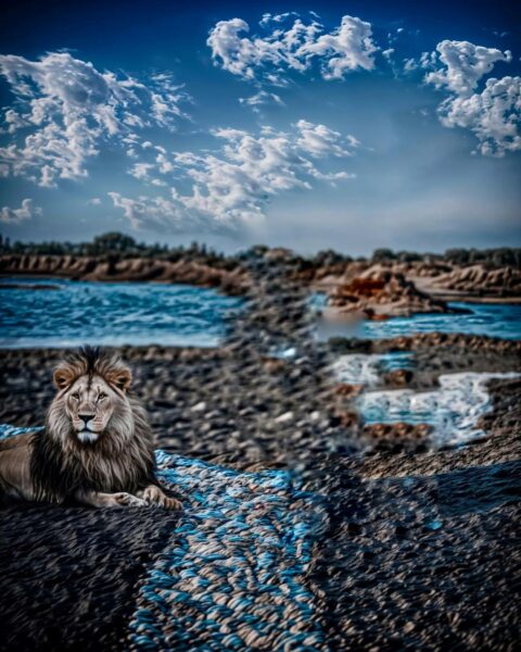 Picsart Tiger Photo Editing Background HD Image 